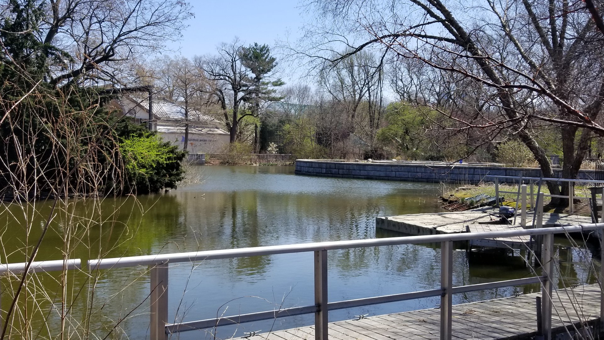 Philly - View of the pond