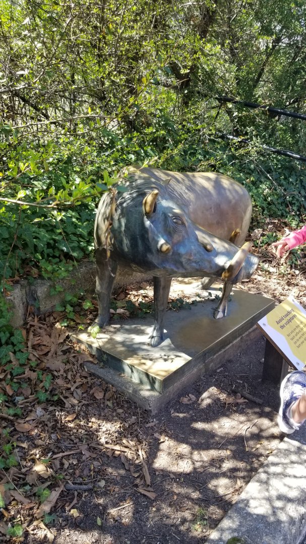Philly - Warthog statue