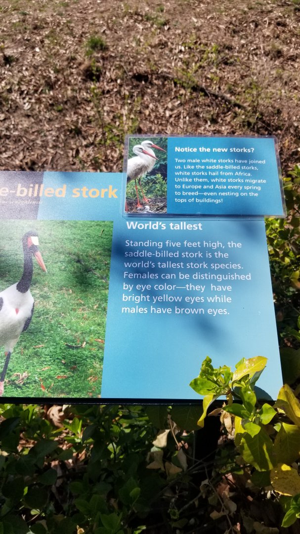 Philly - White storks sign