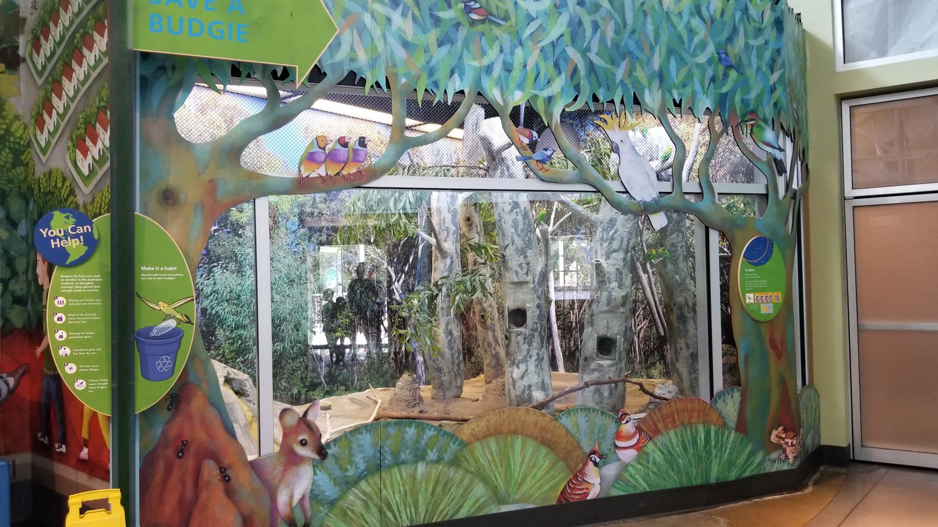 Philly Zoo - Budgies