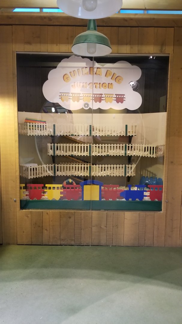 Philly Zoo - Guinea Pig Junction