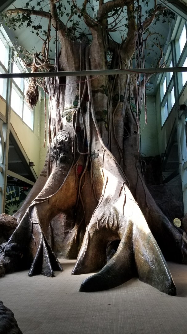 Philly Zoo - Inside "The Treehouse"