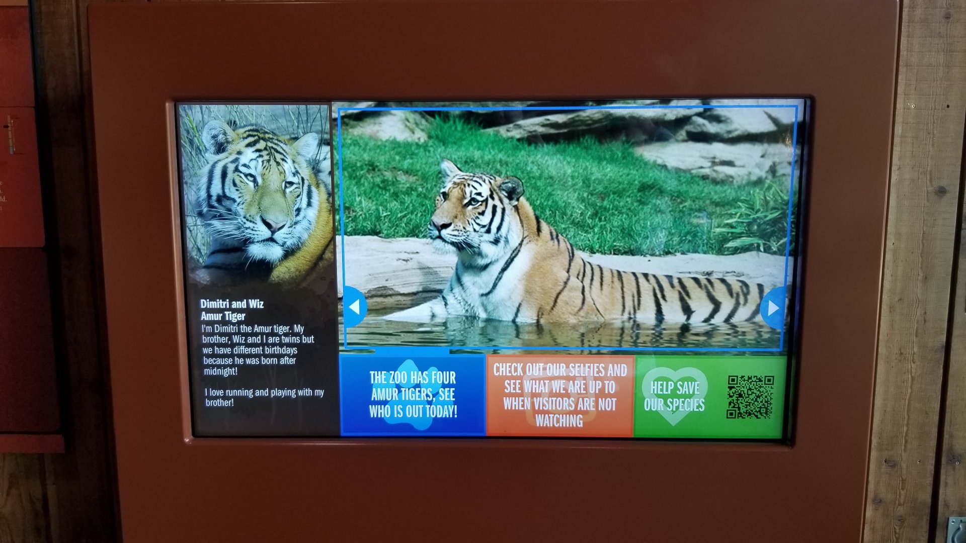 Philly Zoo - new interactive tiger sign