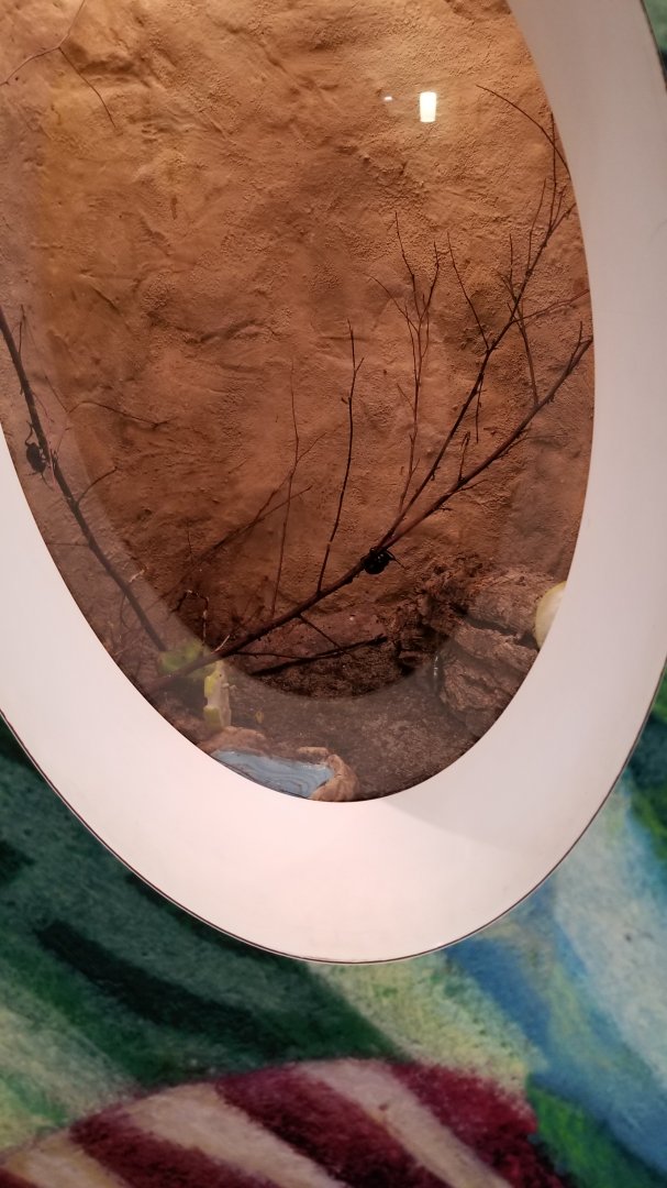 Philly Zoo - Unsigned insect, hanging off branch