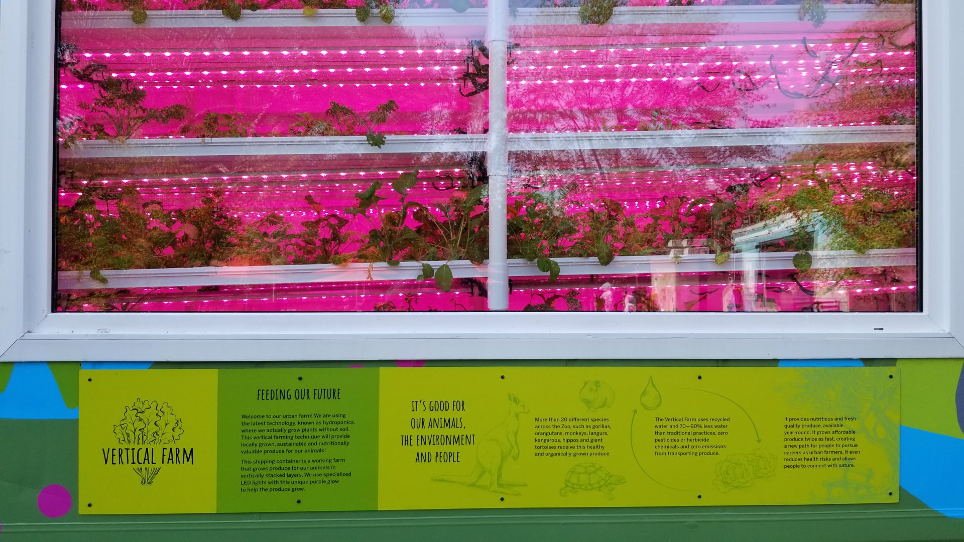 Philly Zoo - Vertical Garden