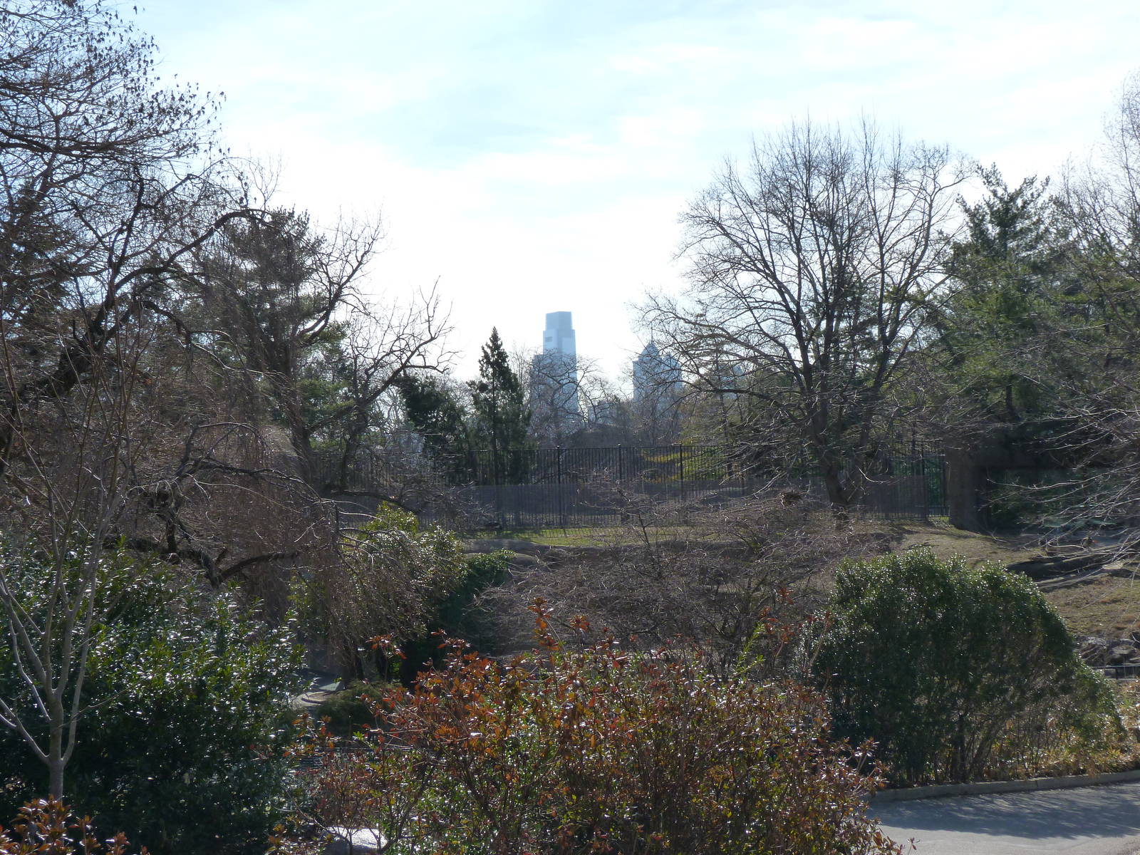 phillyzoo 040