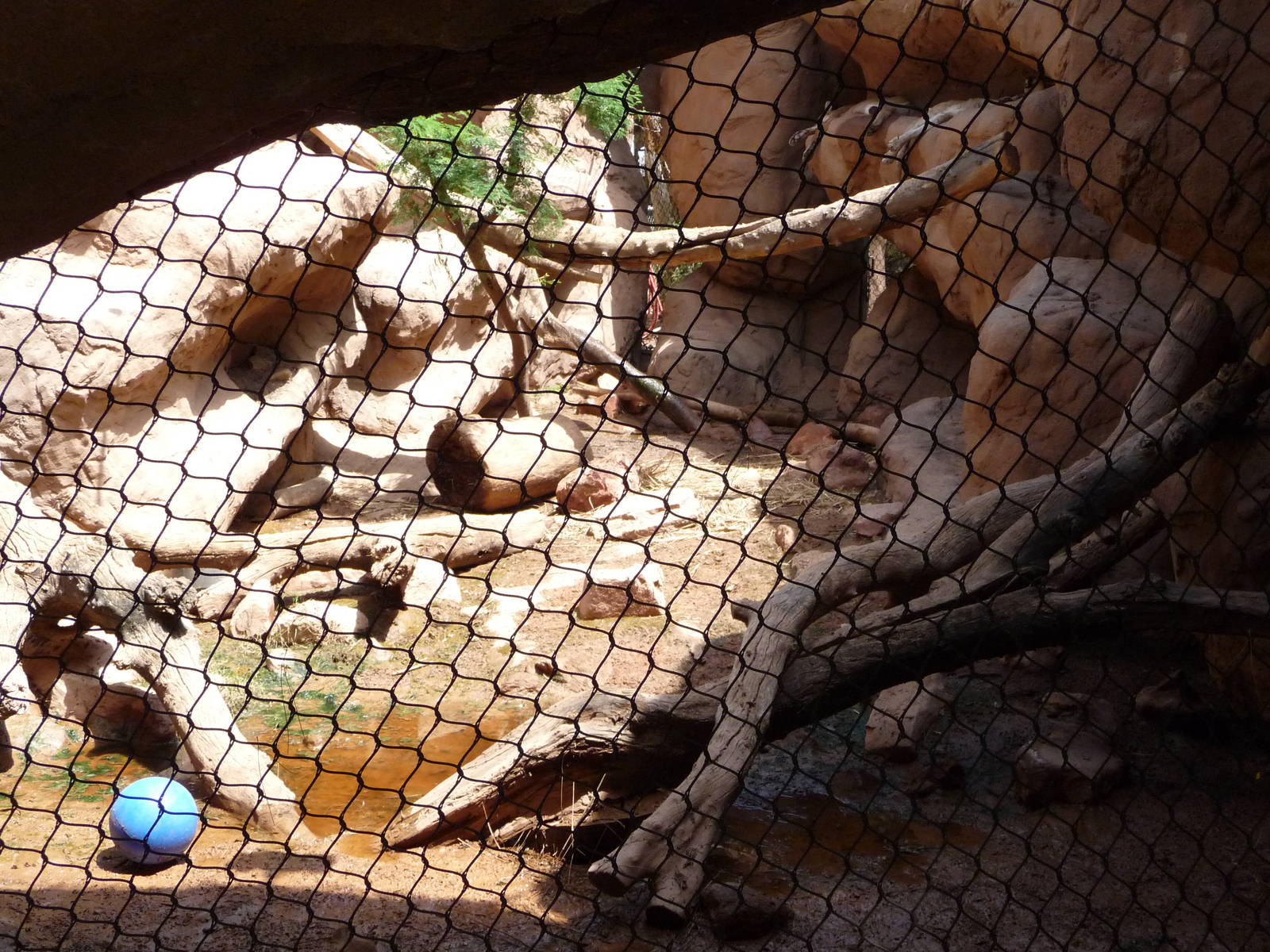 Phoenix Zoo - Arizona Trail