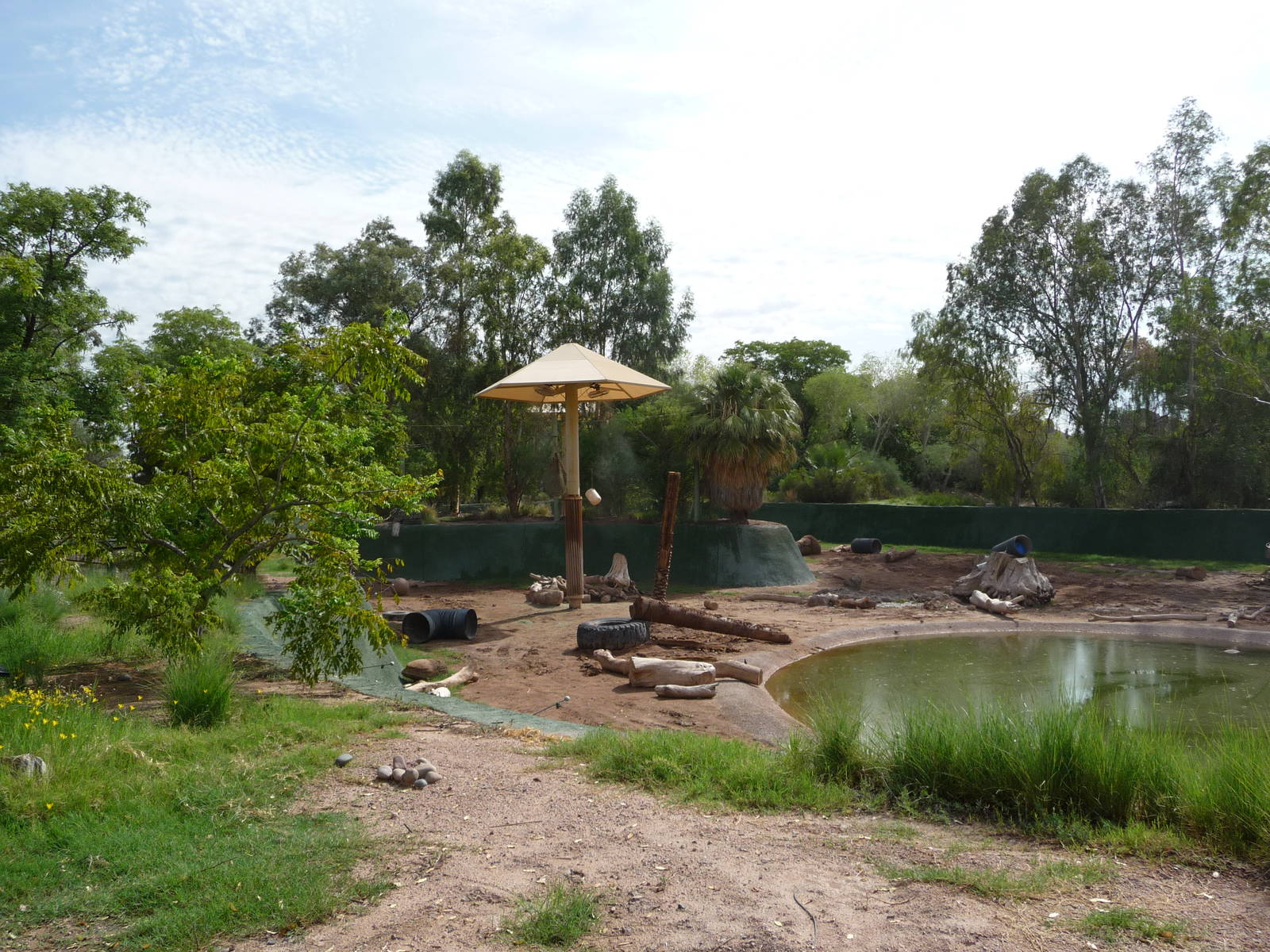 Phoenix Zoo - Asian Elephant Exhibit