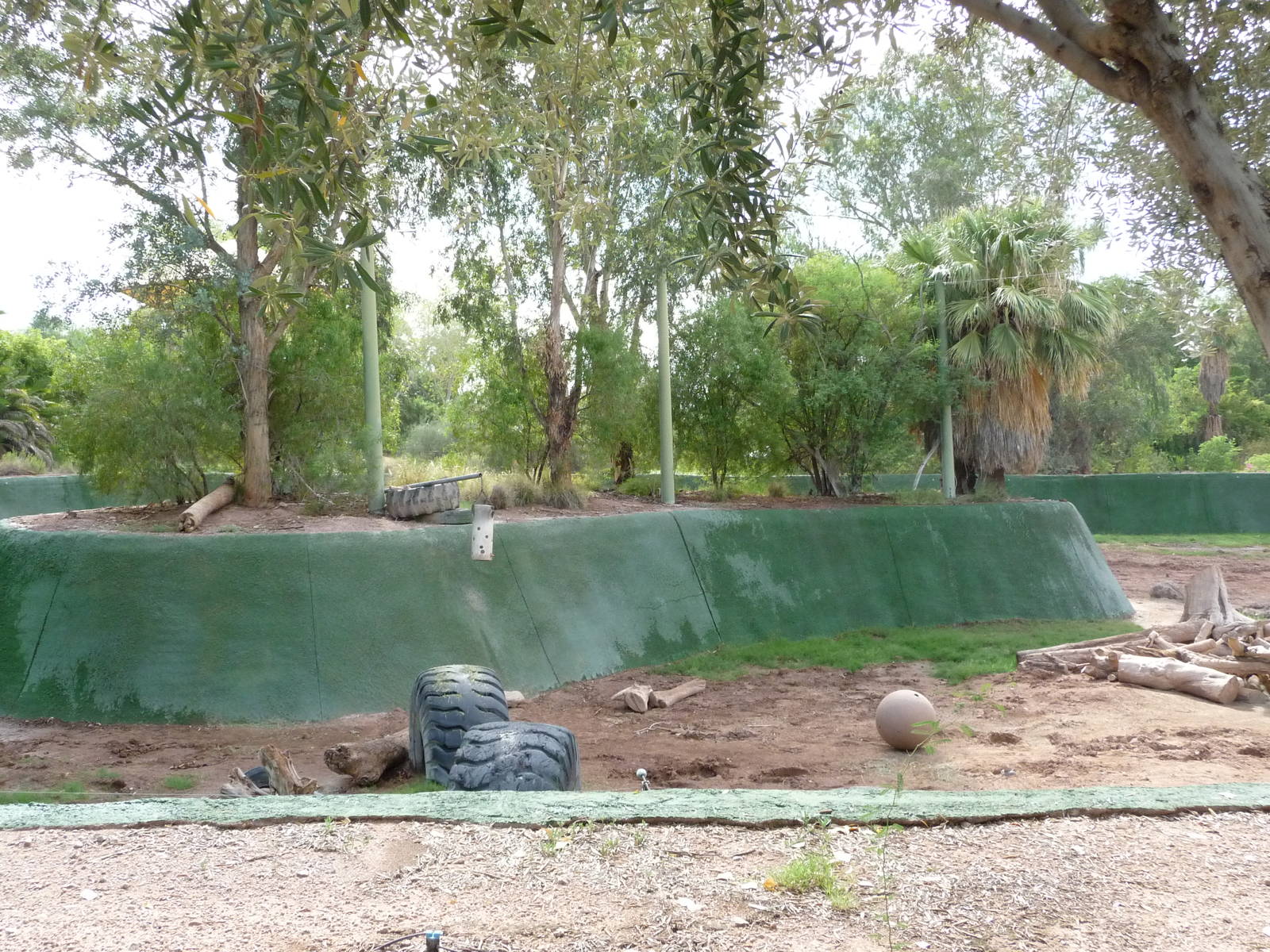 Phoenix Zoo - Asian Elephant Exhibit