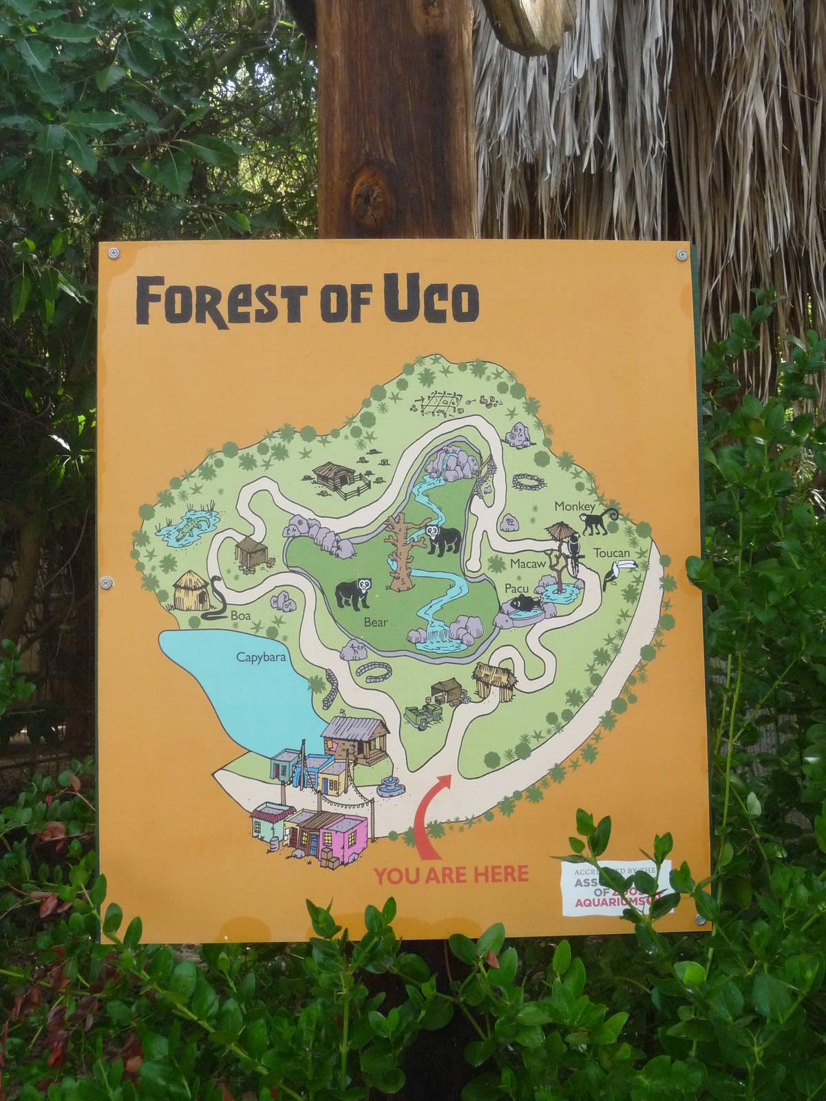 Phoenix Zoo - Forest of Uco