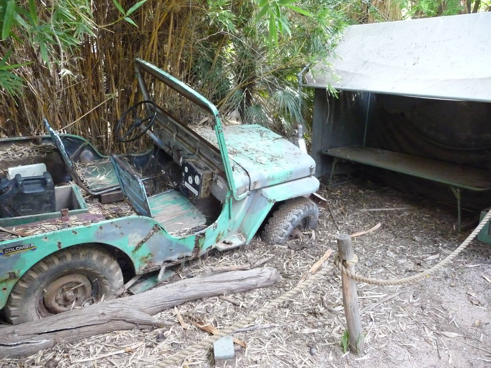 Phoenix Zoo - Forest of Uco