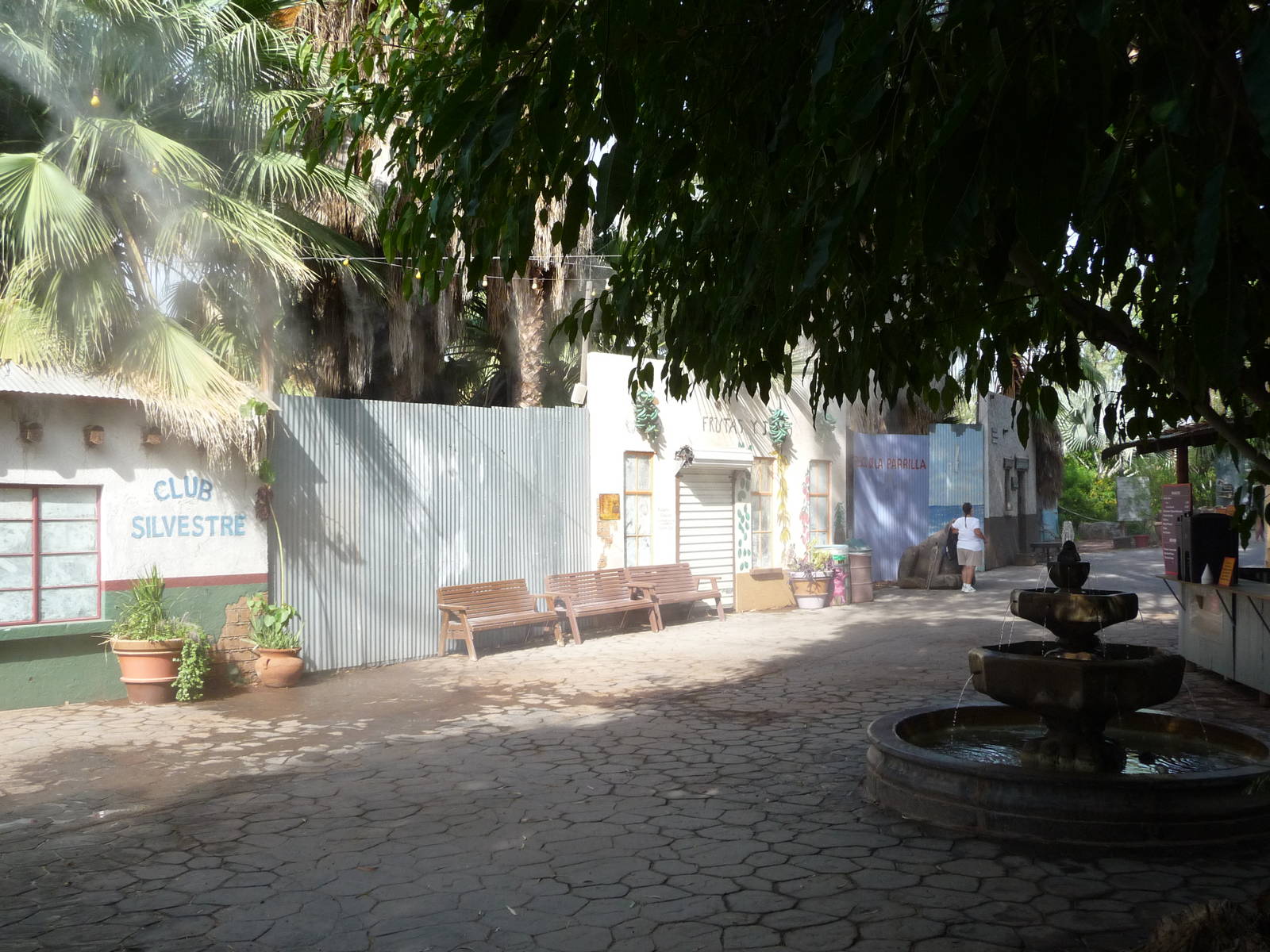 Phoenix Zoo - Forest of Uco