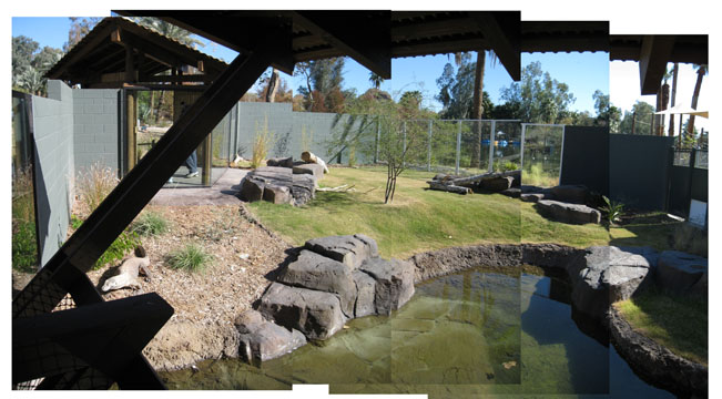Phoenix Zoo, Jan 2, 2010