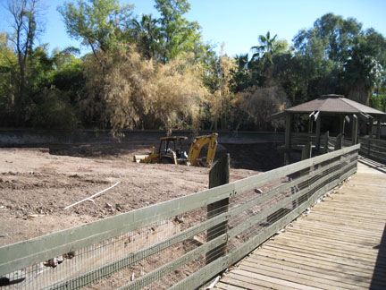 Phoenix Zoo, Jan 2, 2010