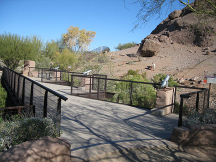 Phoenix Zoo, Jan 2, 2010