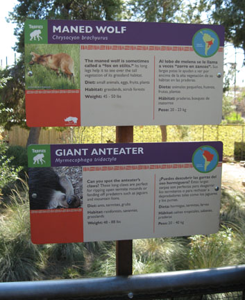 Phoenix Zoo, Jan 2, 2010