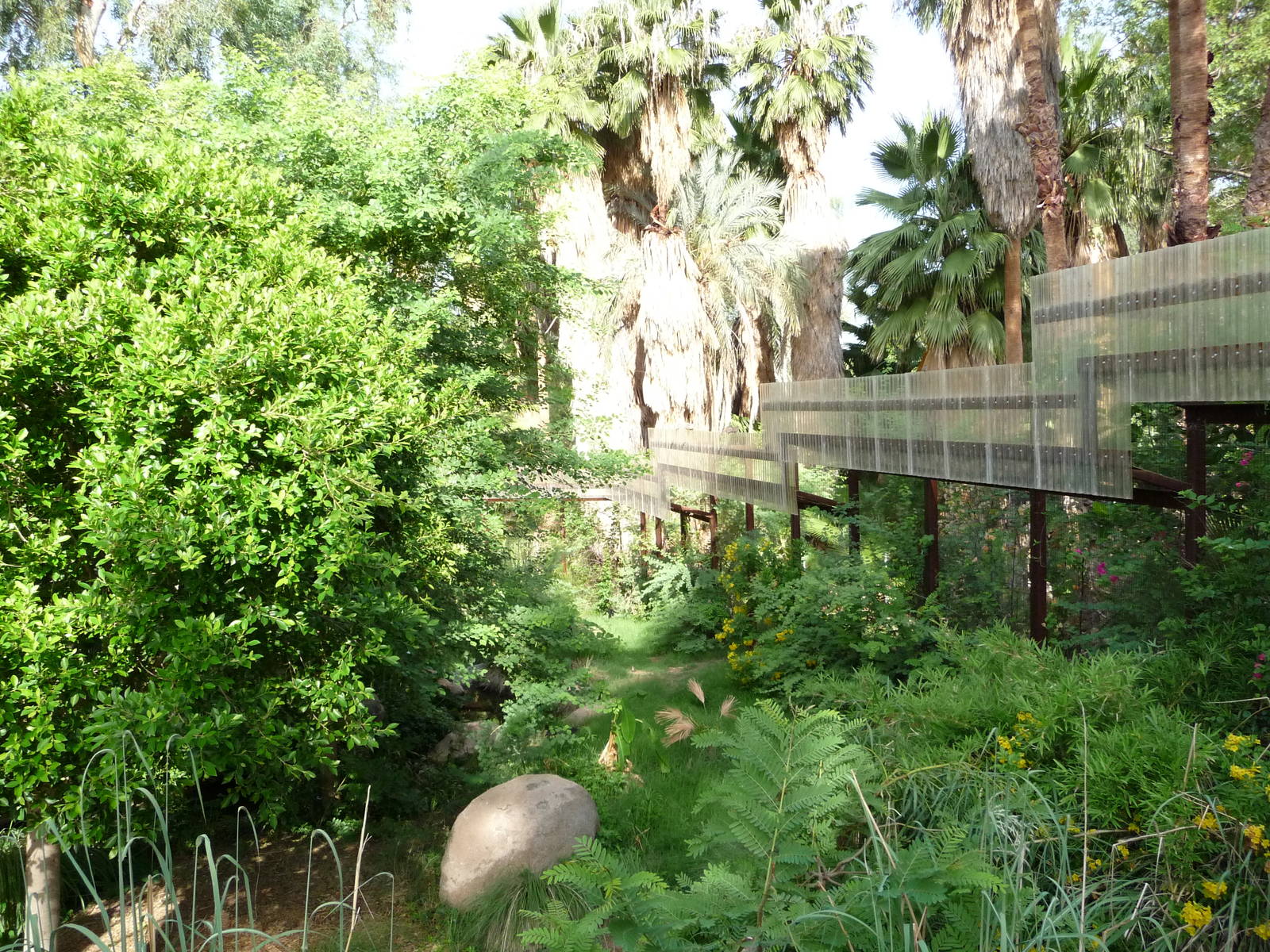 Phoenix Zoo - Walk-through Squirrel Monkey Exhibit