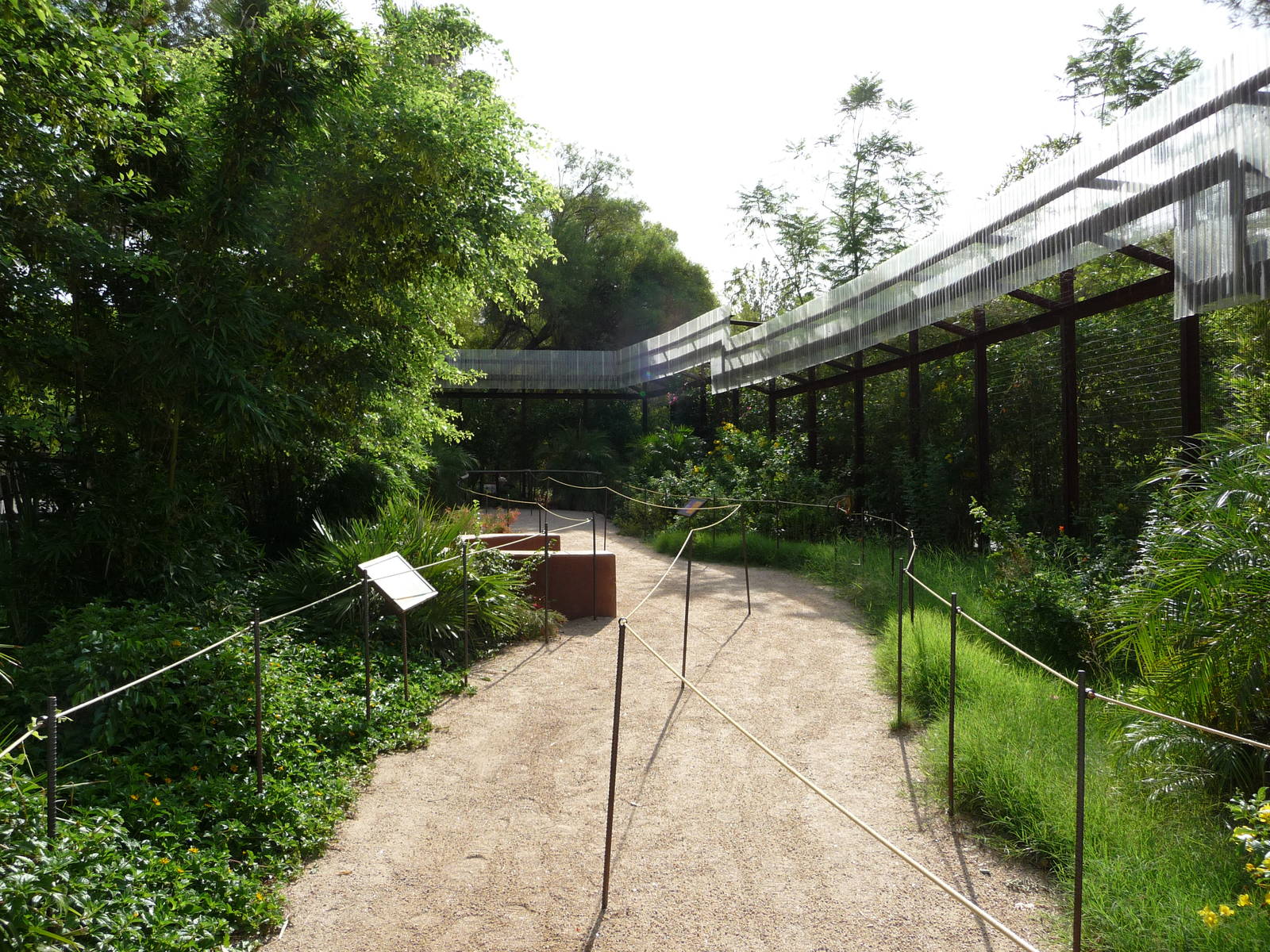 Phoenix Zoo - Walk-through Squirrel Monkey Exhibit