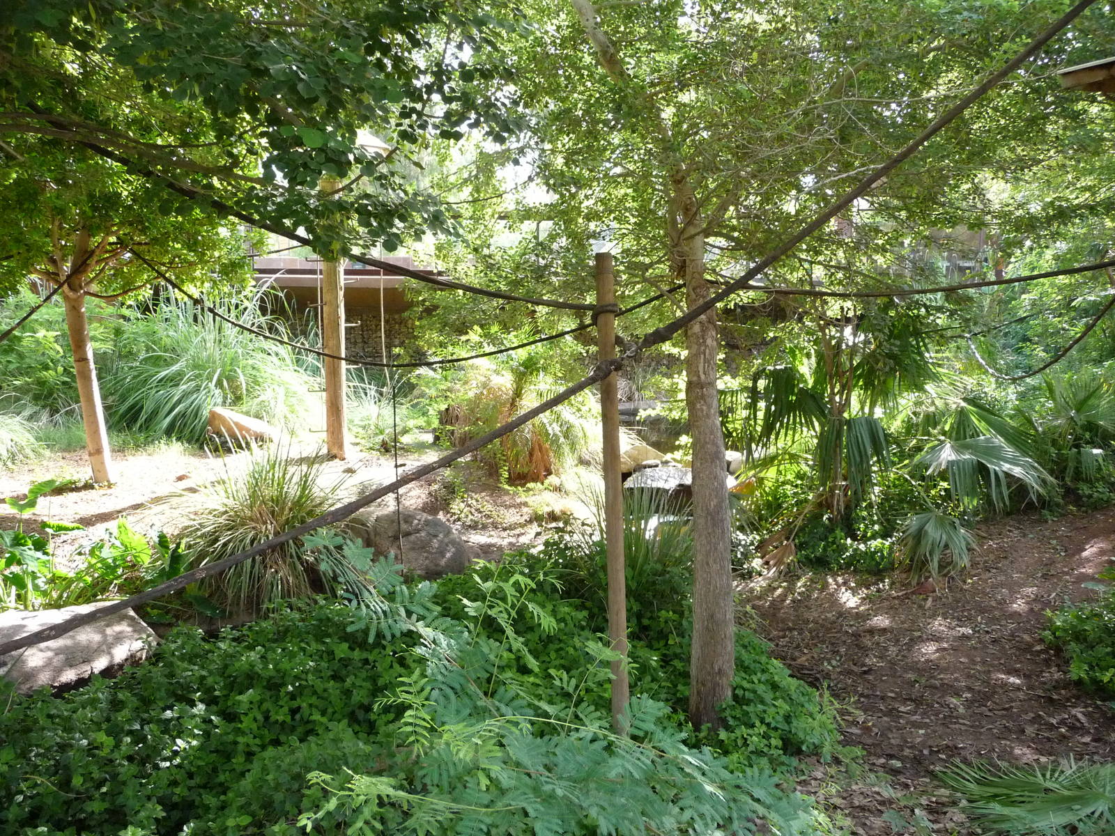 Phoenix Zoo - Walk-through Squirrel Monkey Exhibit
