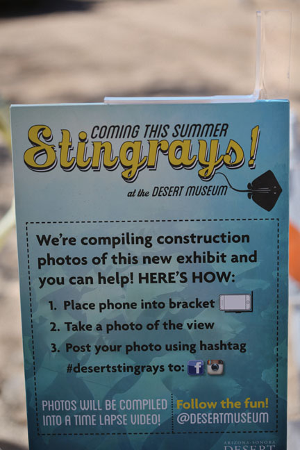 phone photo instructions