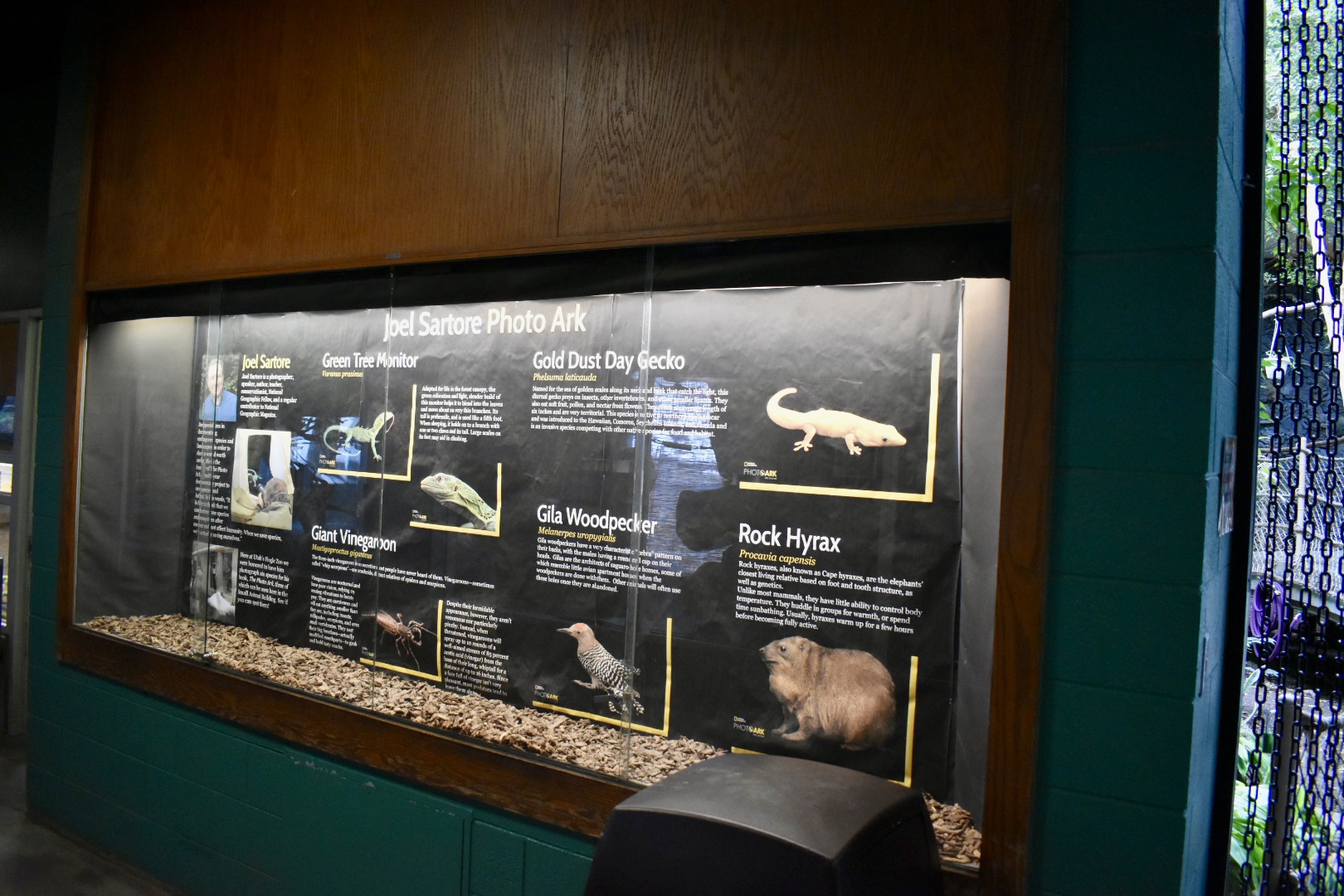 Photo Ark Display - Tropics Zone - Small Animal Building