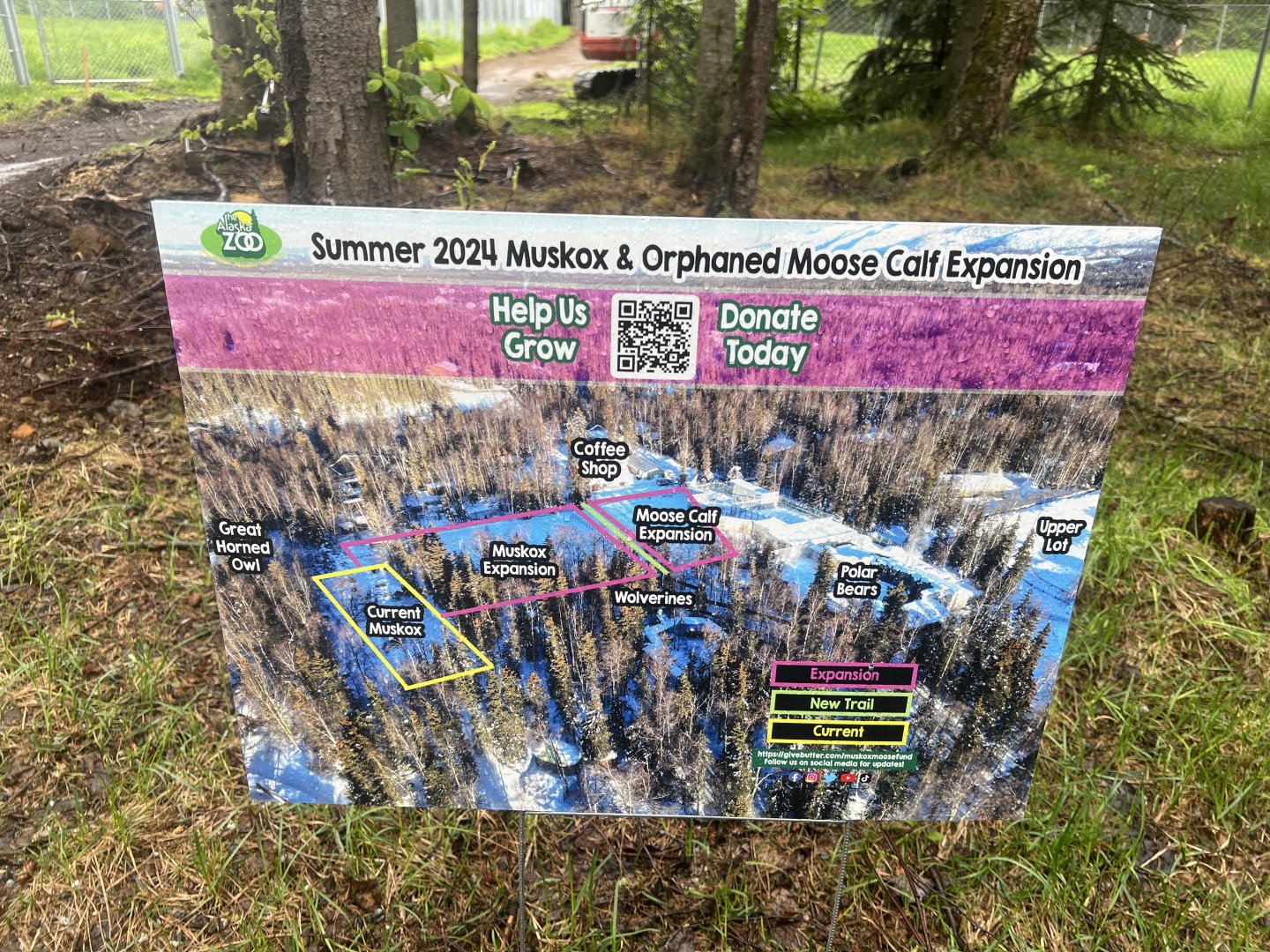 Photo depicting the expansion of the Muskox habitat