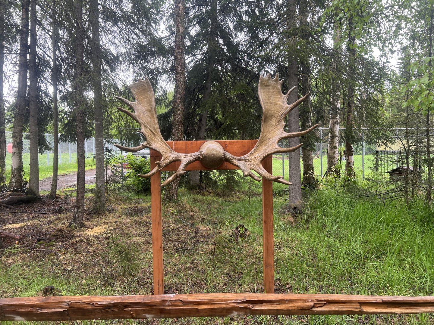 Photo Op if you stand with the antlers on either side of your head.