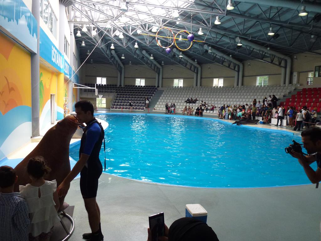 Photo opportunities, June 2013.