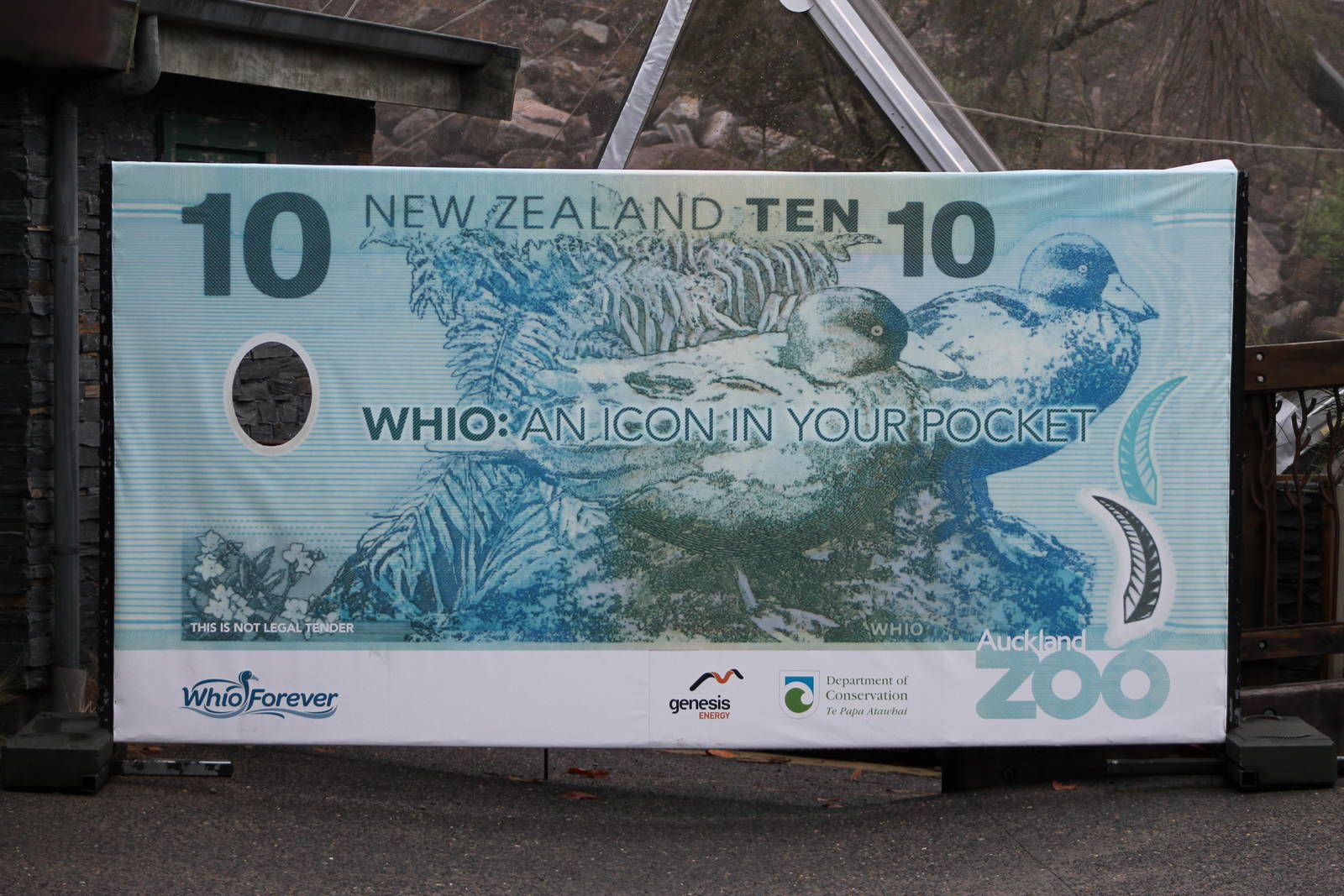 photo opportunity by the blue duck aviary