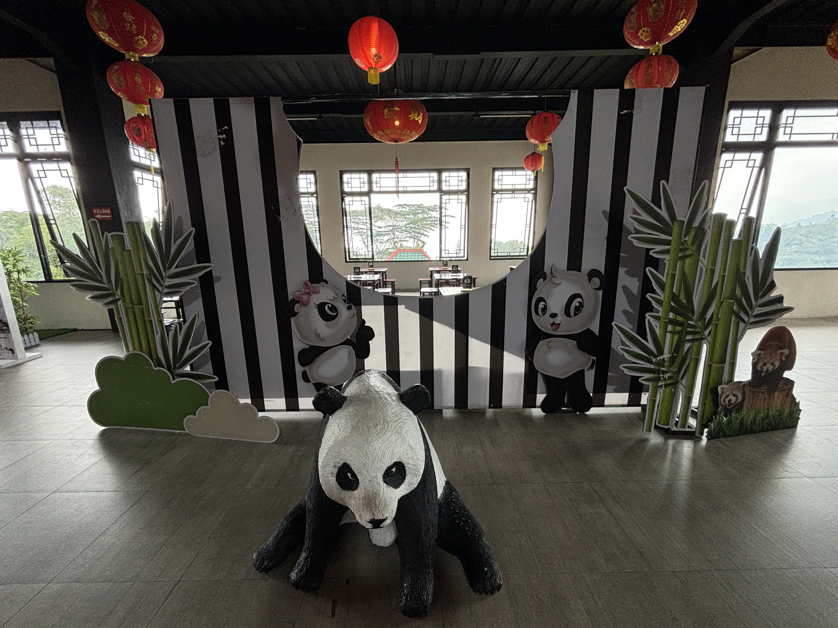 Photo Opportunity - Giant Panda Complex