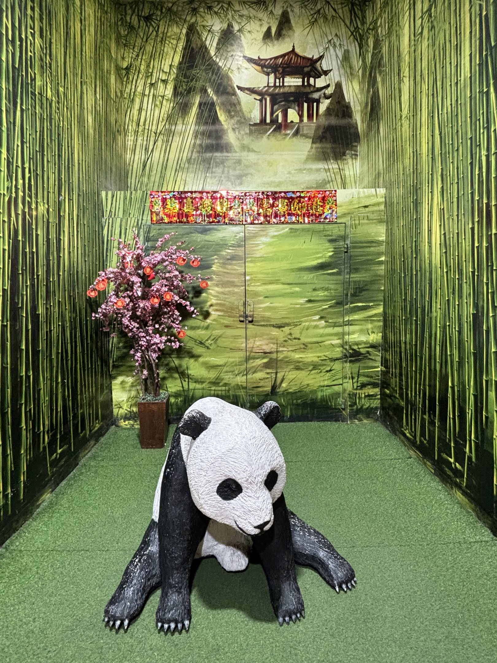 Photo Opportunity - Giant Panda Complex