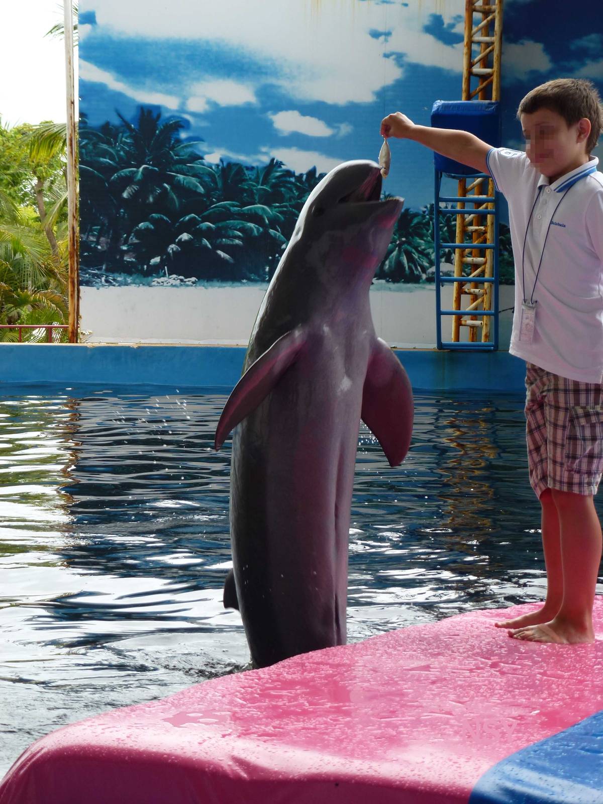 Photo opportunity, June 2013