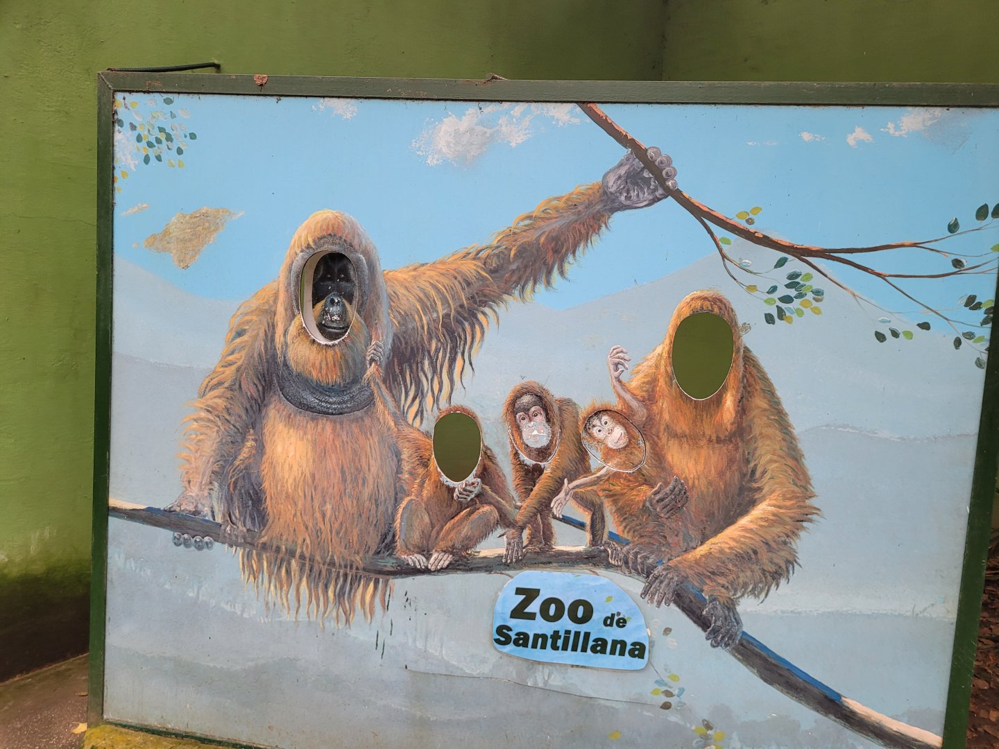 Photo opportunity -Zoo de Santillana del Mar (2023)