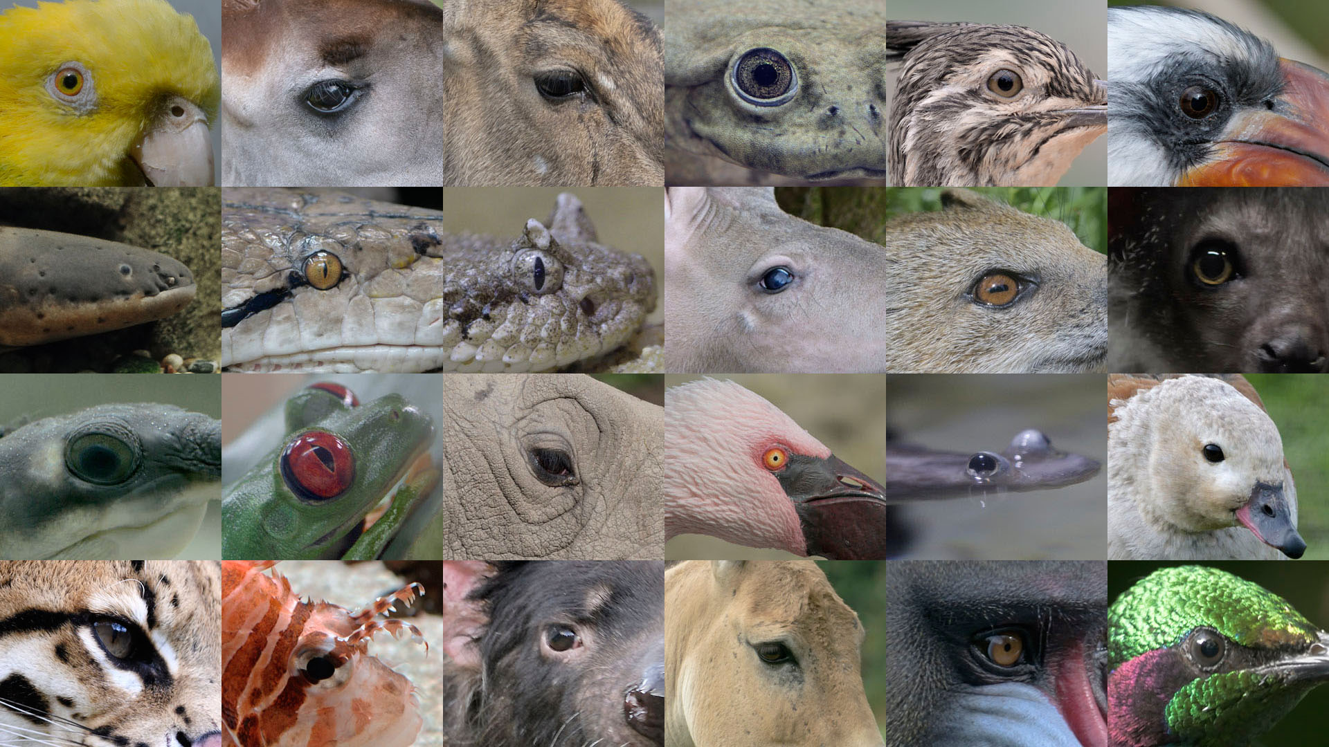 Photo Puzzle for April 1st