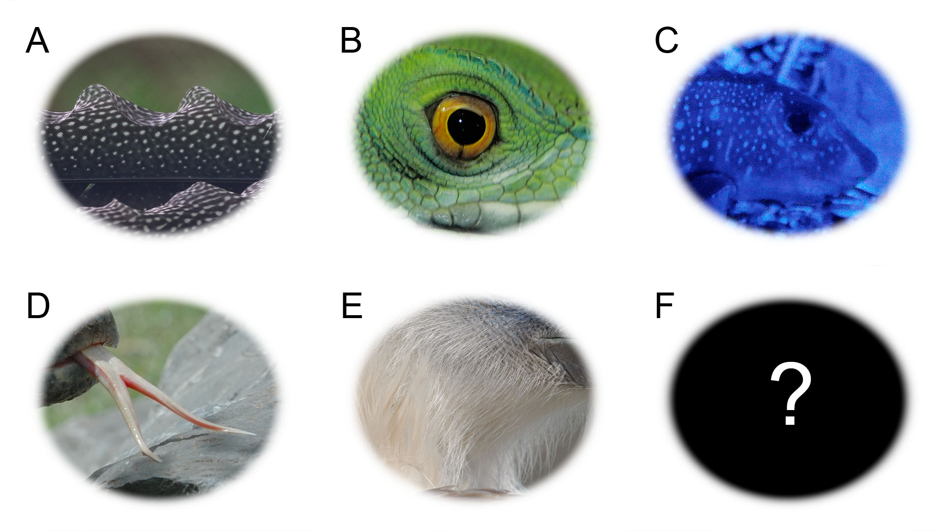 Photo Quiz July 2017