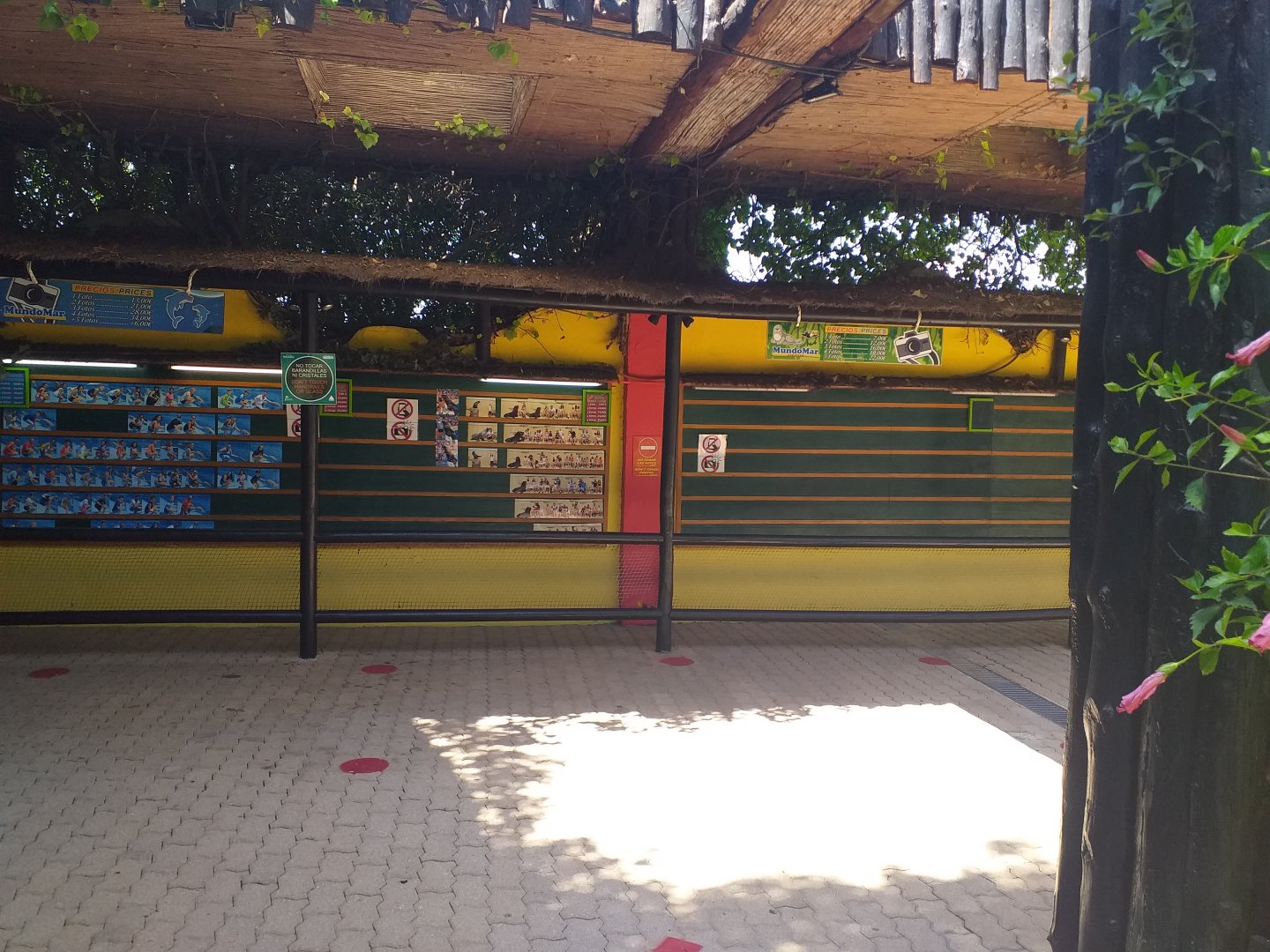 Photo shop -MundoMar Benidorm (2021)