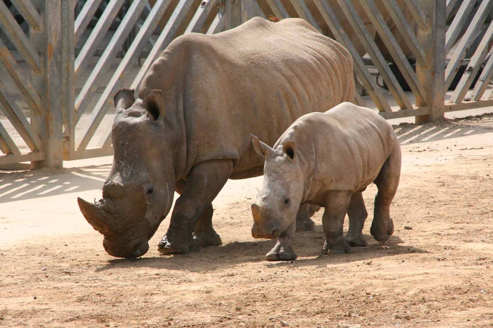 Photo taken 22 April 2010