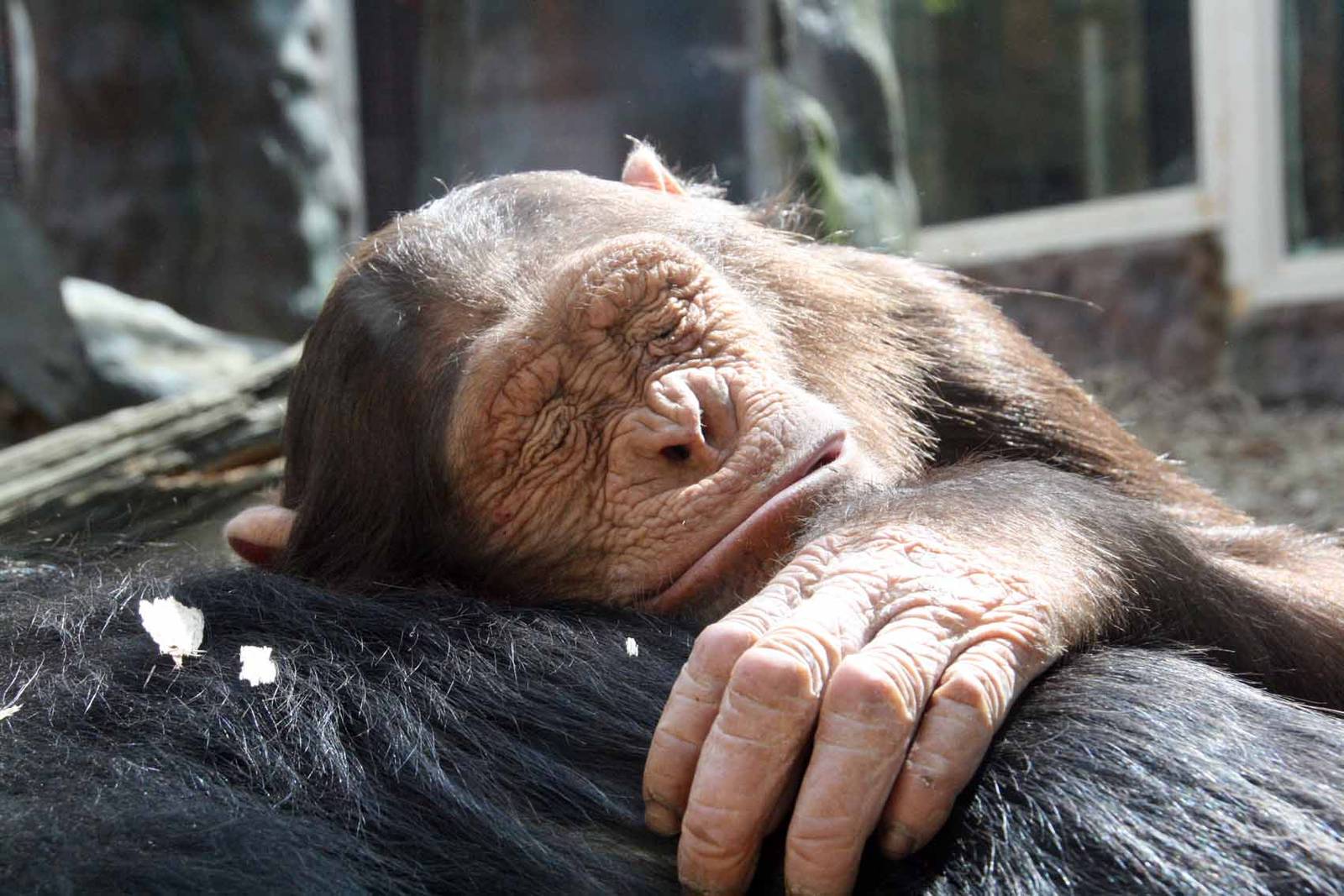 Photo taken 22 April 2010