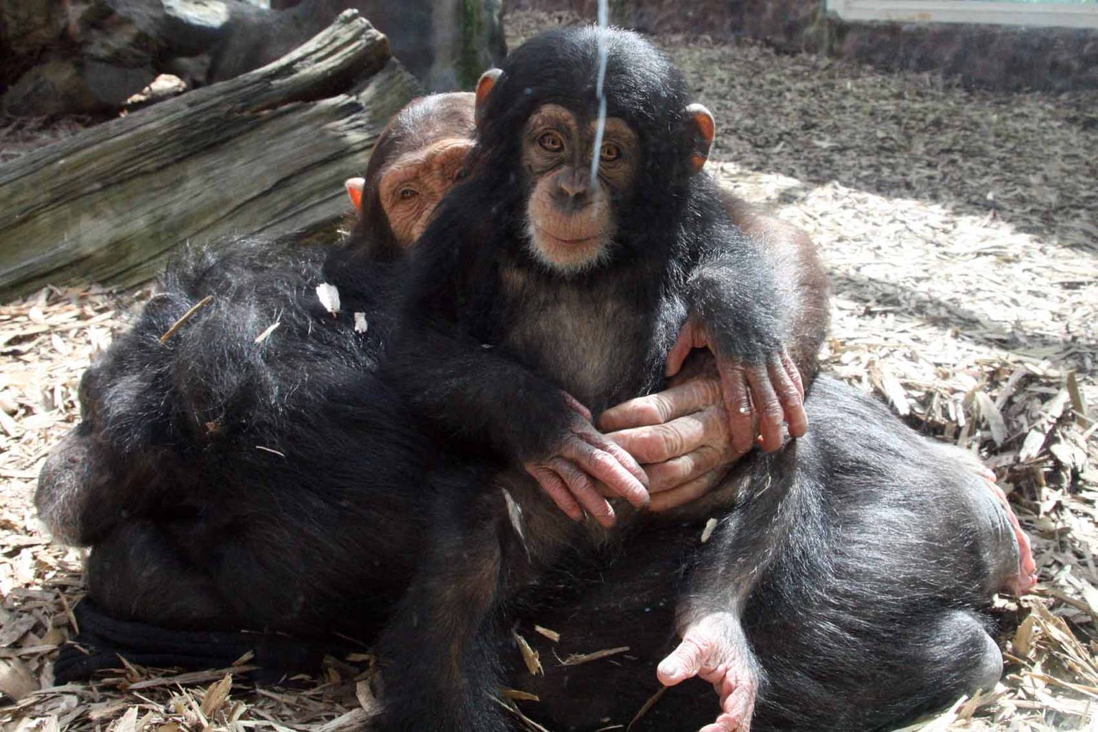 Photo taken 22 April 2010