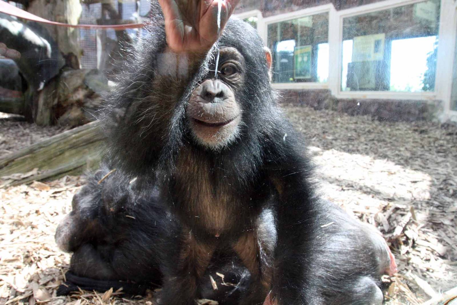 Photo taken 22 April 2010