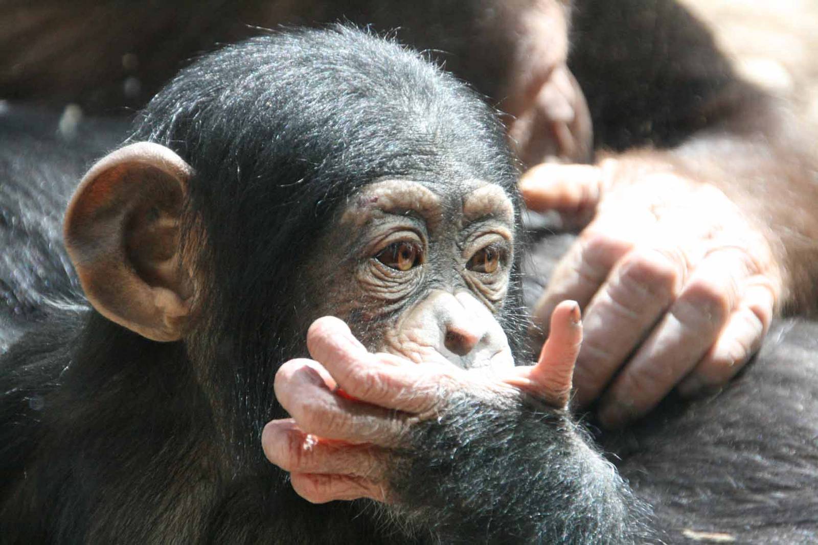 Photo taken 22 April 2010