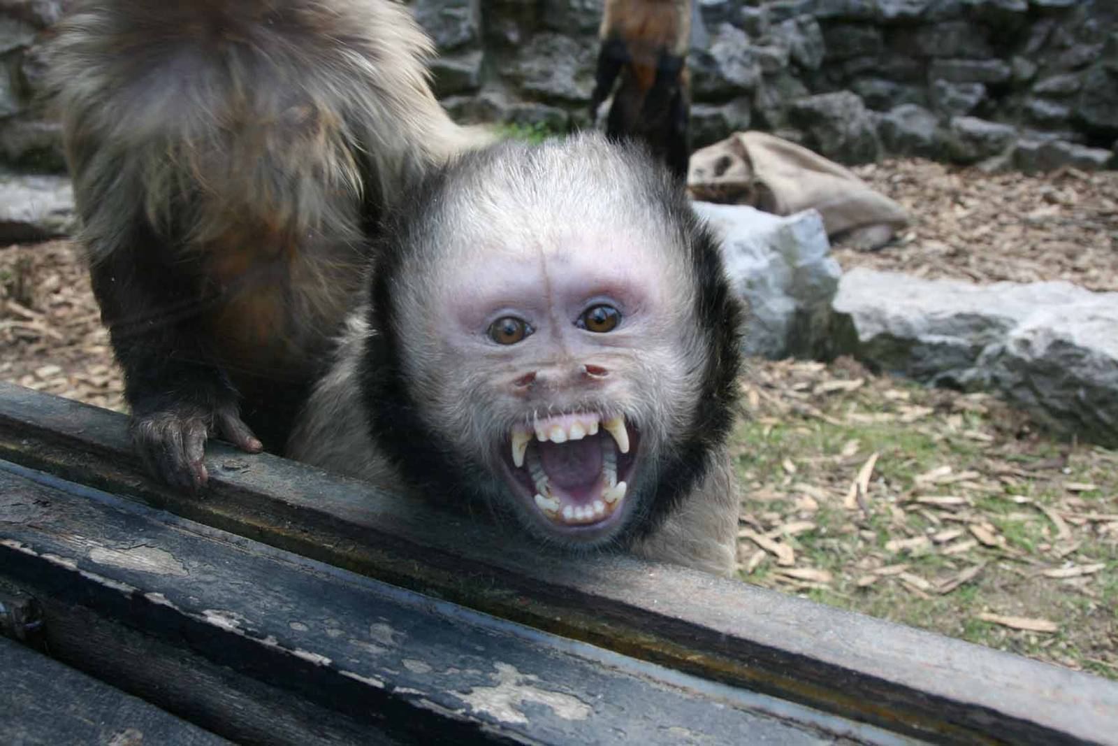 Photo taken 22 April 2010