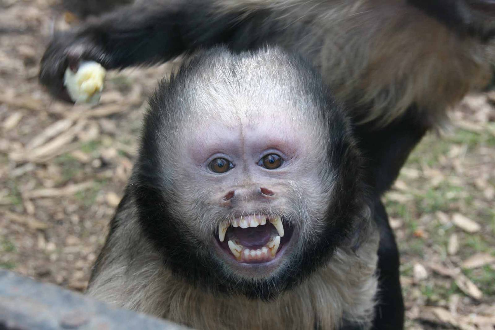 Photo taken 22 April 2010