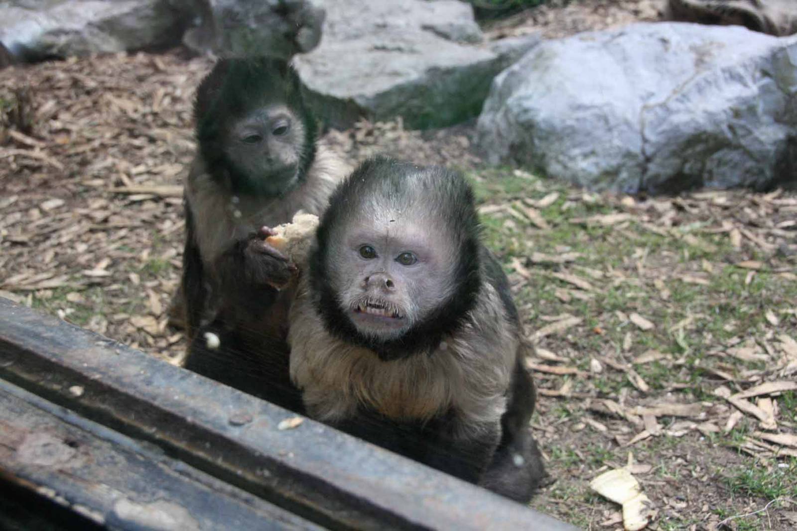 Photo taken 22 April 2010