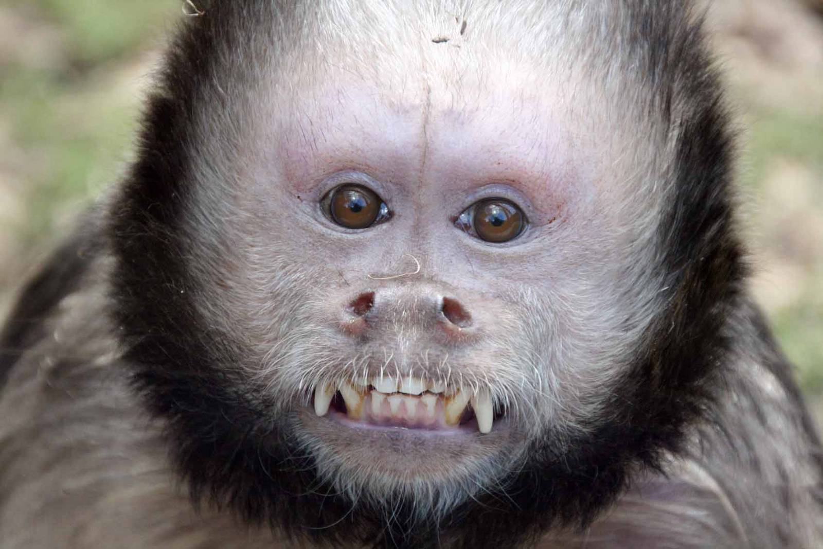 Photo taken 22 April 2010