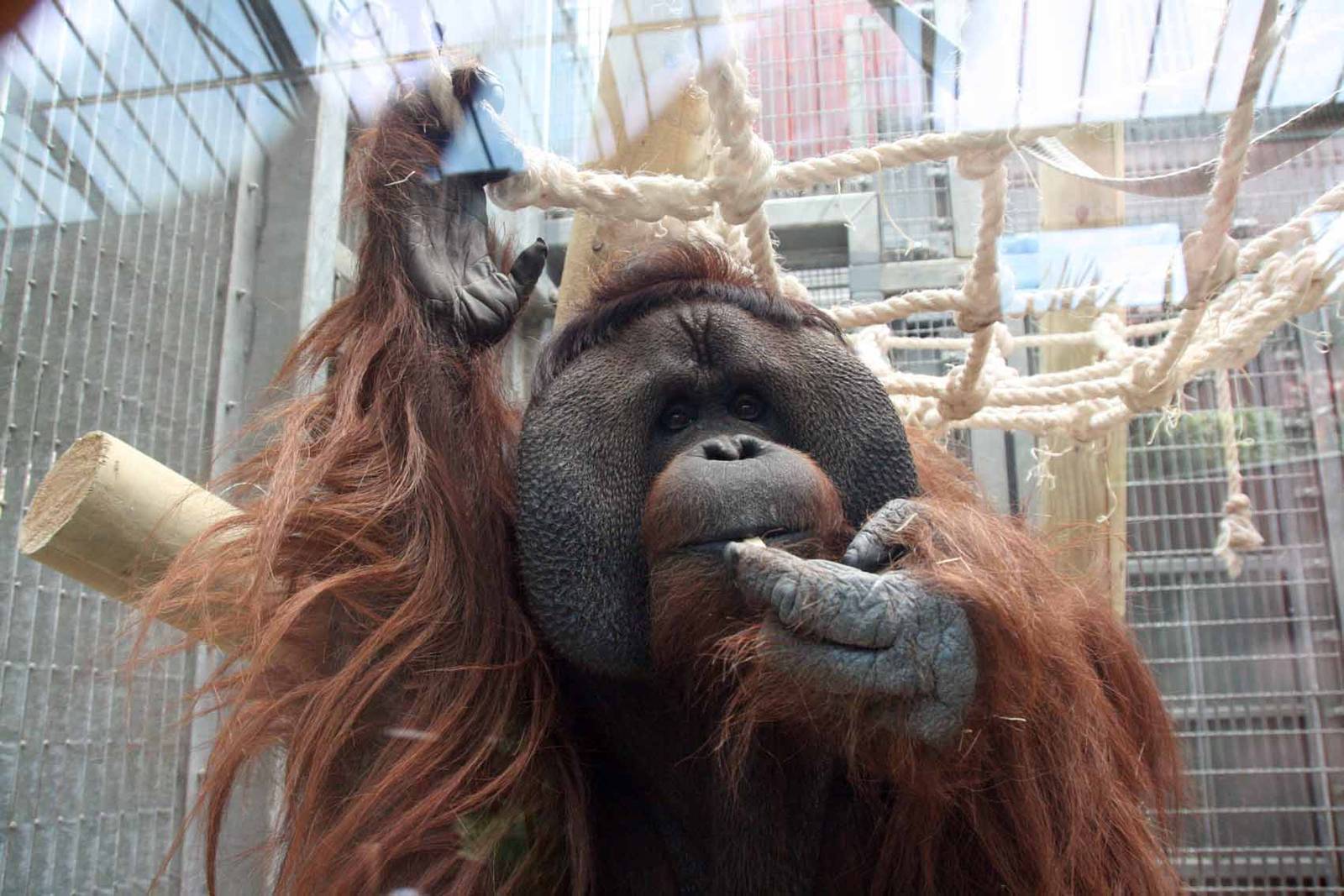 Photo taken 22 April 2010