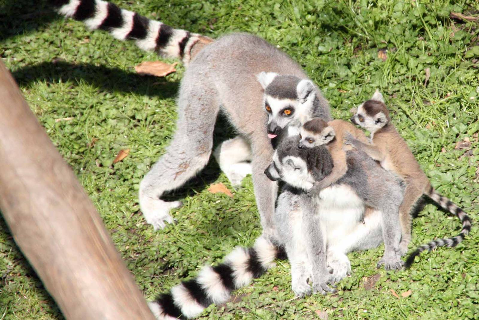 Photo taken 22 April 2010