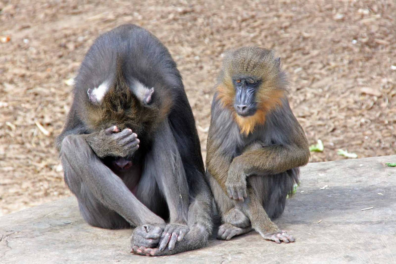 Photo taken 22 April 2010