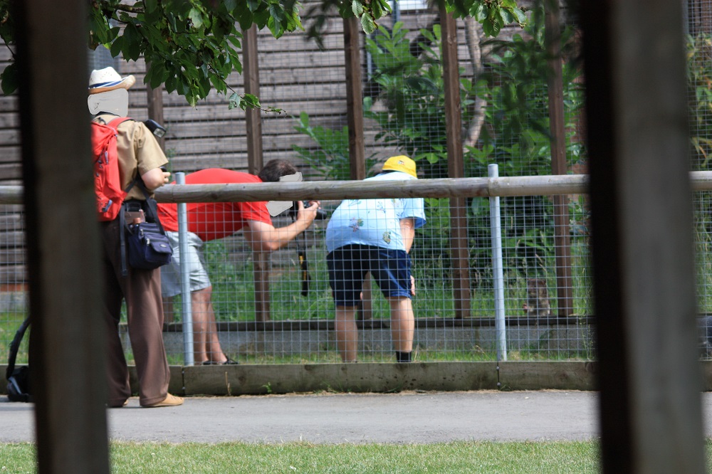 Photographers at Hamerton