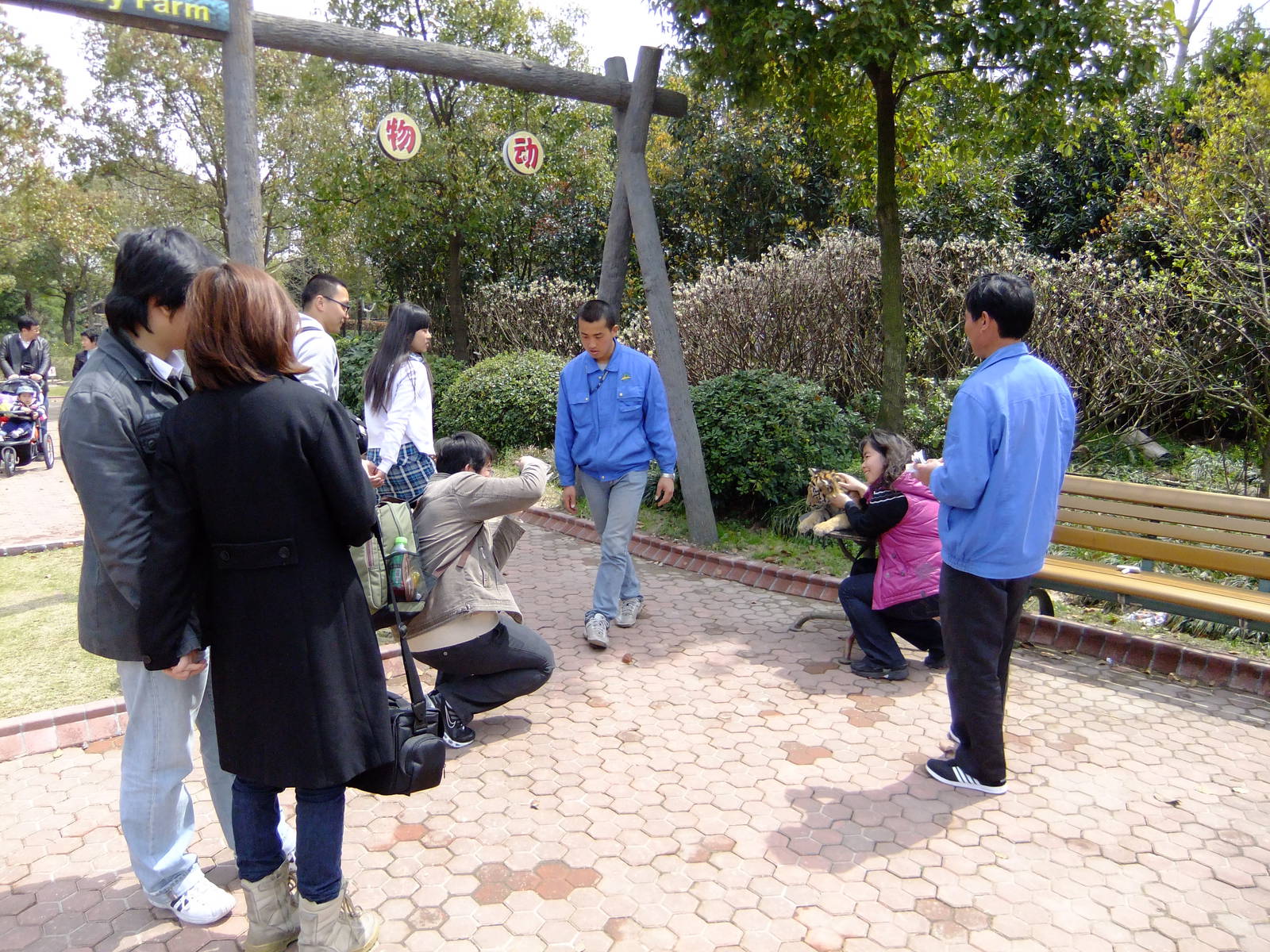Photographing with Tiger Cub